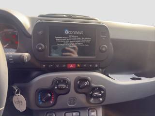 FIAT Panda usata 10