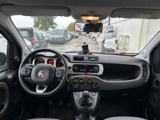 FIAT Panda Cross usata, con Fendinebbia