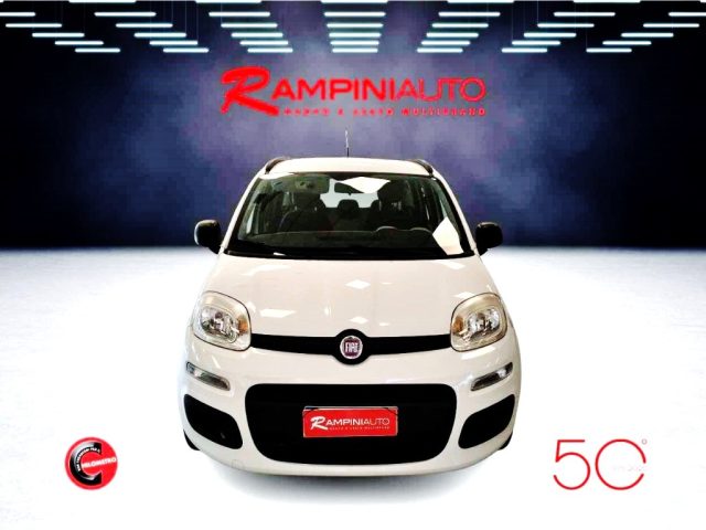 FIAT Panda usata 2