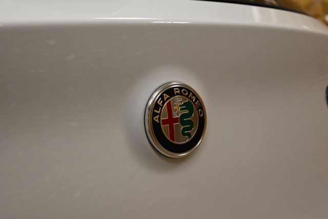 ALFA ROMEO Stelvio usata 19