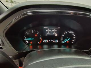FORD Focus usata, con Cruise Control