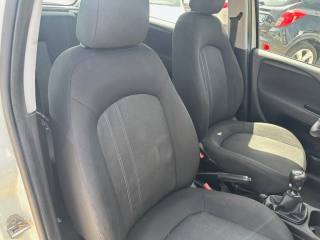 FIAT Punto usata 19