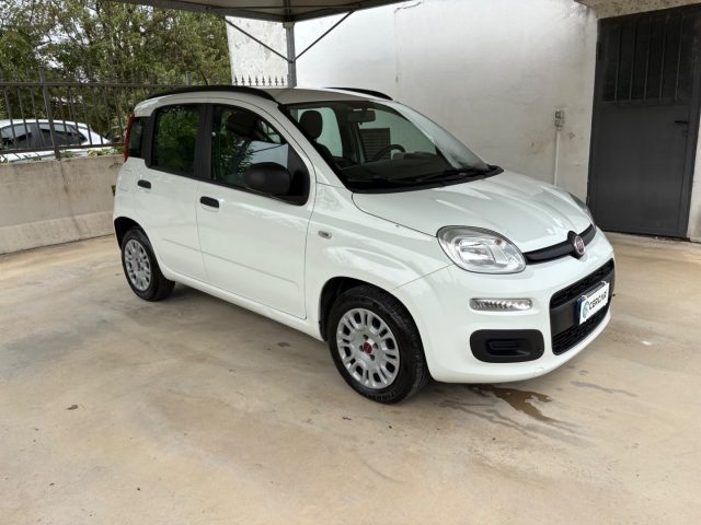 FIAT Panda usata, con Airbag Passeggero