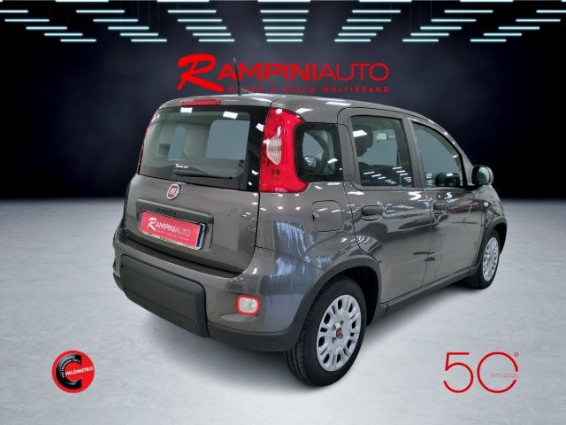 FIAT Panda usata 6