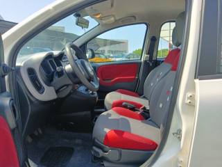 FIAT Panda usata, con Immobilizzatore elettronico