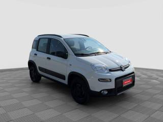 FIAT Panda usata 6