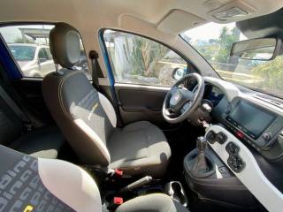 FIAT Panda Cross usata, con Immobilizzatore elettronico