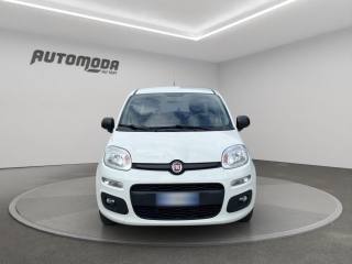 FIAT Panda usata 1