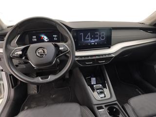 SKODA Octavia usata, con Fendinebbia