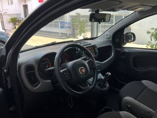 FIAT Panda usata 37