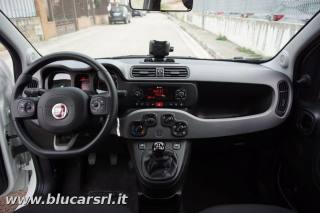 FIAT Panda usata, con Controllo trazione