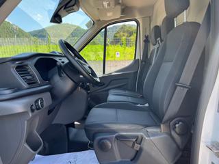FORD Transit usata, con Fendinebbia