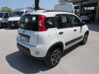 FIAT Panda usata, con Alzacristalli elettrici
