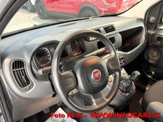 FIAT Panda usata, con Controllo trazione