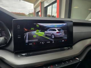 SKODA Octavia usata 61