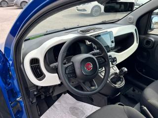 FIAT Panda Cross usata, con Servosterzo