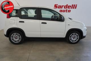 FIAT Panda usata, con Climatizzatore
