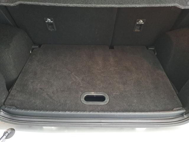 FORD EcoSport usata, con Cronologia tagliandi