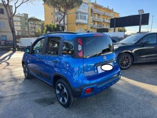 FIAT Panda Cross usata, con Controllo trazione
