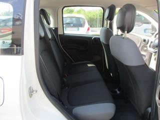 FIAT Panda usata, con Airbag testa