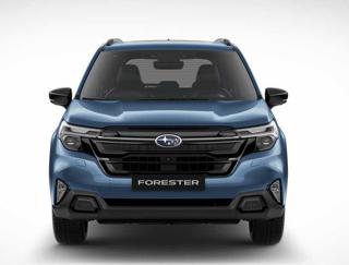 SUBARU Forester usata, con Alzacristalli elettrici
