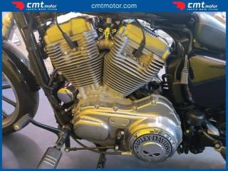 HARLEY-DAVIDSON Other usata 8