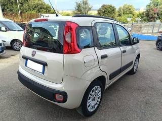 FIAT Panda usata 6