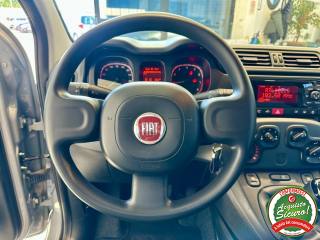 FIAT Panda usata, con Vetri oscurati