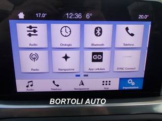 FORD Puma usata, con Fendinebbia