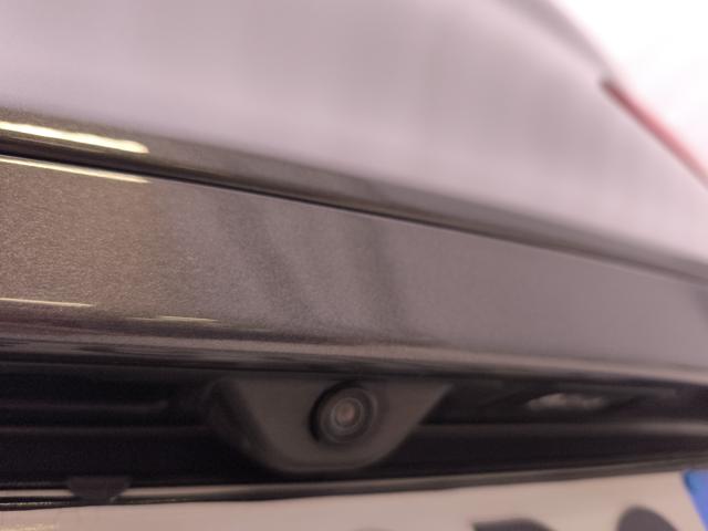 ALFA ROMEO Stelvio usata, con Leve al volante