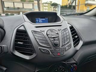 FORD EcoSport usata, con Antifurto