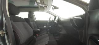 CITROEN C4 Cactus usata 47