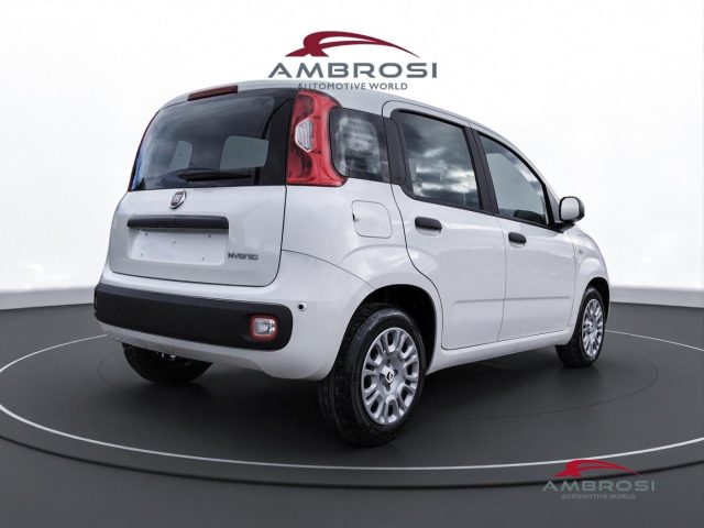 FIAT Panda usata 2