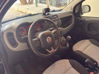 FIAT Panda usata, con Airbag testa