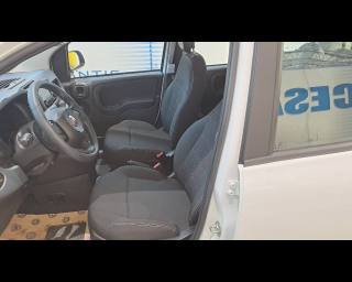 FIAT Panda usata 24