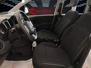 FIAT Panda usata 14