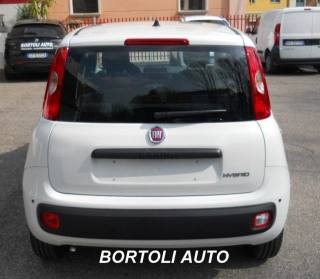 FIAT Panda usata, con Antifurto
