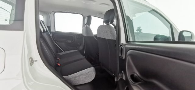 FIAT Panda usata 44