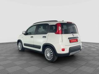 FIAT Panda usata 2