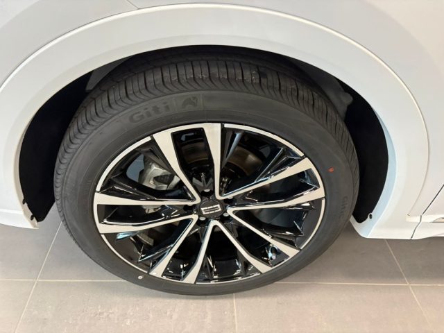 SPORTEQUIPE Sportequipe 7 GTW usata, con Immobilizzatore elettronico