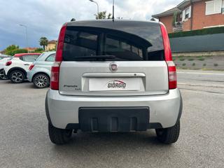 FIAT Panda usata, con Airbag Passeggero