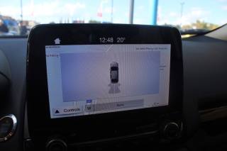 FORD EcoSport usata, con Bracciolo