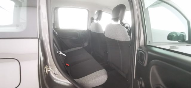 FIAT Panda usata 38