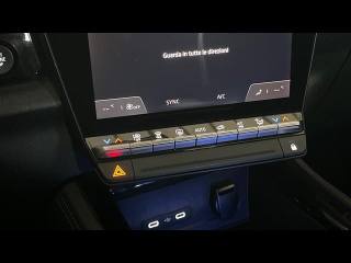 RENAULT Austral usata, con Cruise Control