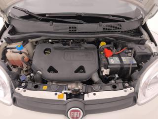 FIAT Panda usata 29