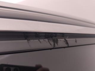 PEUGEOT 3008 usata, con Luci diurne