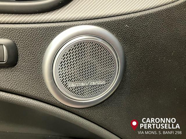 ALFA ROMEO Stelvio usata, con ESP