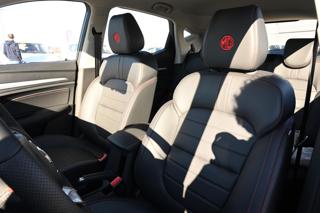 MG ZS usata, con Fendinebbia