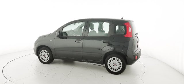 FIAT Panda usata, con Airbag testa