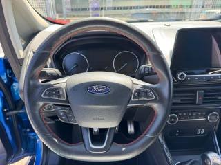 FORD EcoSport usata, con Cronologia tagliandi